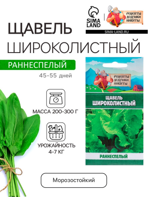 Семена Щавель 