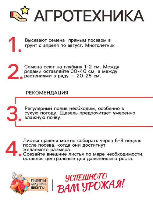Семена Щавель 