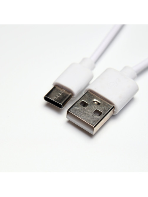 Паровая щетка-расчёска для животных, с USB-зарядкой и выдвижной ручкой, белая