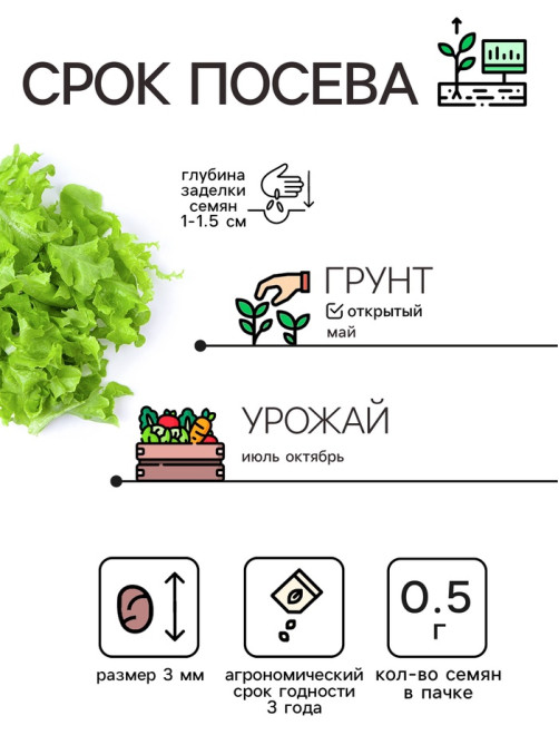 Семена Сельдерей «Листовой», 0.5 г, «Рецепты дедушки Никиты»