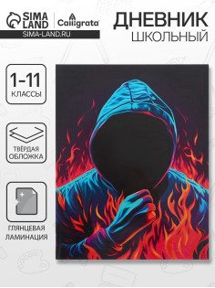 Дневник универсальный для 1-11 классов «Аноним», твёрдая обложка, глянцевая ламинация, 40 листов