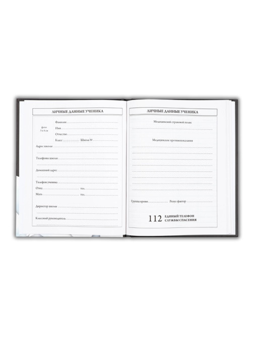 Дневник школьный для 5-11 класса, в твердой обложке, 48 л., Black
