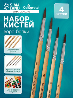 Набор кистей для рисования, белка, 4 штуки: № 2, 4, 6, 8, Calligrata, круглые, деревянная ручка, международный размер