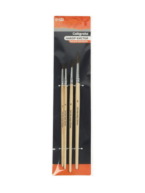 Набор кистей для рисования, белка, 4 штуки: № 2, 4, 6, 8, Calligrata, круглые, деревянная ручка, международный размер