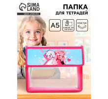 Папка для тетрадей, А5, пластиковая, 23×19×5 см «Аниме подружки»