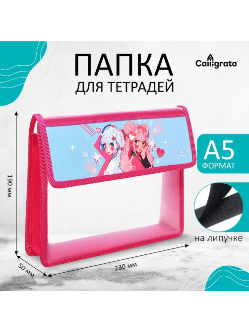 Папка для тетрадей, А5, пластиковая, 23×19×5 см «Аниме подружки»