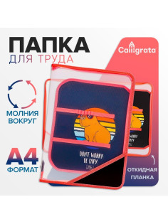 Папка для труда, А4, пластиковая, 23×32.5×2.5 см, Be capy