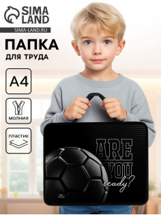 Папка для труда, А4, пластиковая, 33×26×7.5 см «Мяч»