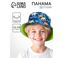 Панама детская для мальчика «Динозавр», р-р. 54 см