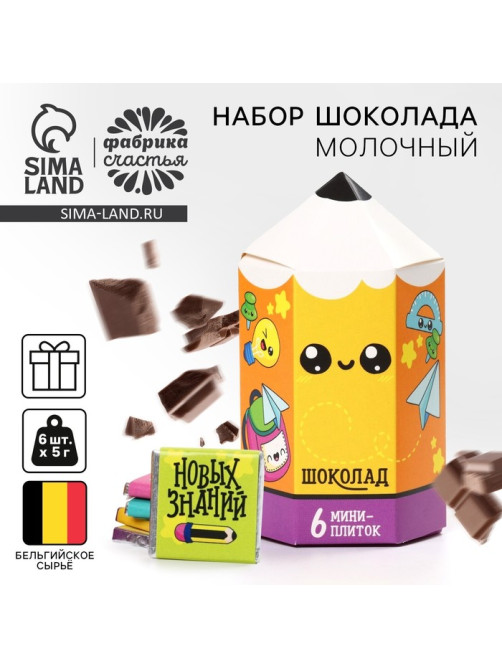 Шоколад подарочный, на 1 сентября «Снова в школу», (5 г × 6 шт.)
