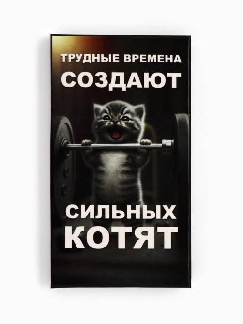 Шоколад молочный «Трудные времена» 27 г