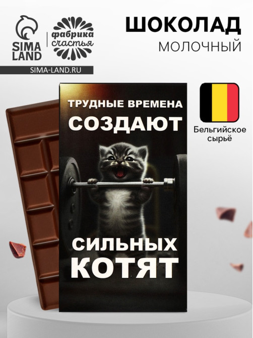 Шоколад молочный «Трудные времена» 27 г