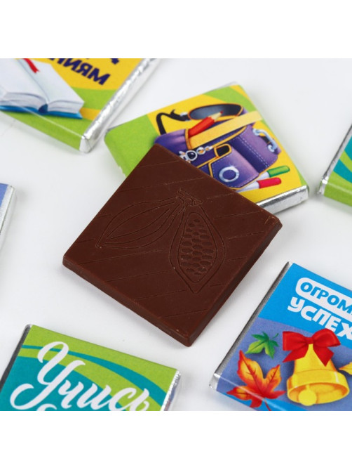 Шоколад «1 сентября», (5 г × 6 шт.)
