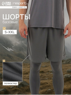 Шорты мужские Resport, размер 54, серые