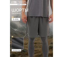 Шорты мужские Resport, размер 52, серые