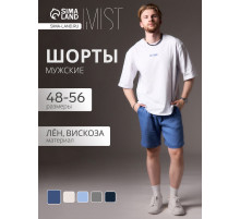 Шорты мужские MIST, размер 48, синие