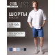 Шорты мужские MIST, размер 48, синие