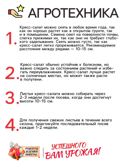 Семена шпинат «Жирнолистный», 3 г, «Рецепты дедушки Никиты»