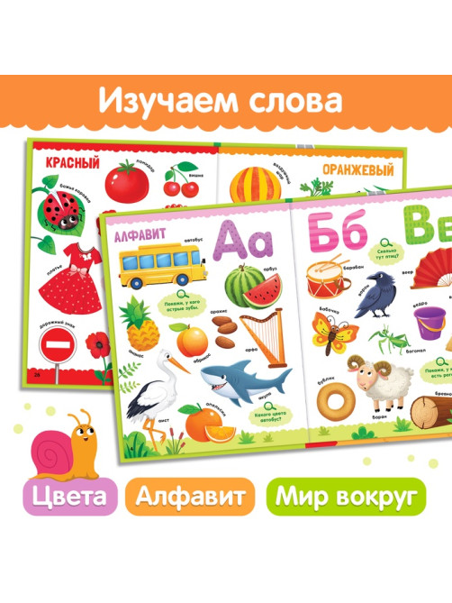 Книга в твёрдом переплёте «500 первых слов. Найди и покажи», 64 стр.