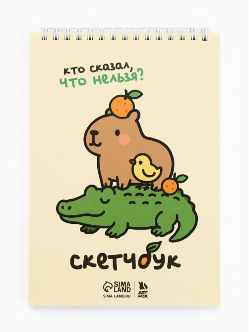 Скетчбук А5, 40 л. 100 г/м² «Кто сказал, что нельзя?»