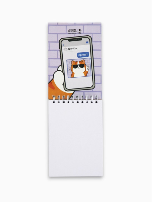 Скетчбук А6, 80 л., 100 г/м² «Котик»