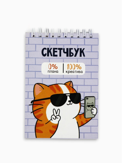 Скетчбук А6, 80 л., 100 г/м² «Котик»