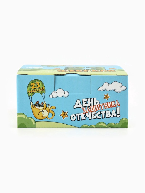 Подарочная коробка, упаковка «23 февраля», кот, 15×15×7 см
