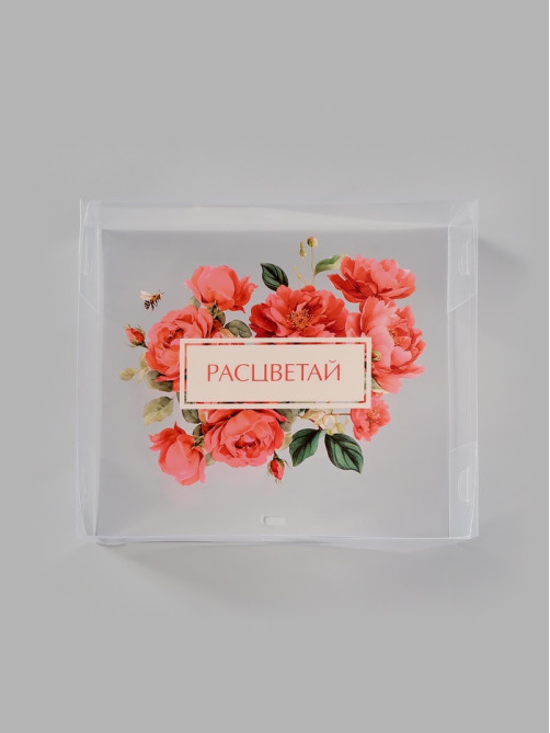 Коробка подарочная пластиковая с тишью и гирляндой «Расцветай», 20×18×5 см