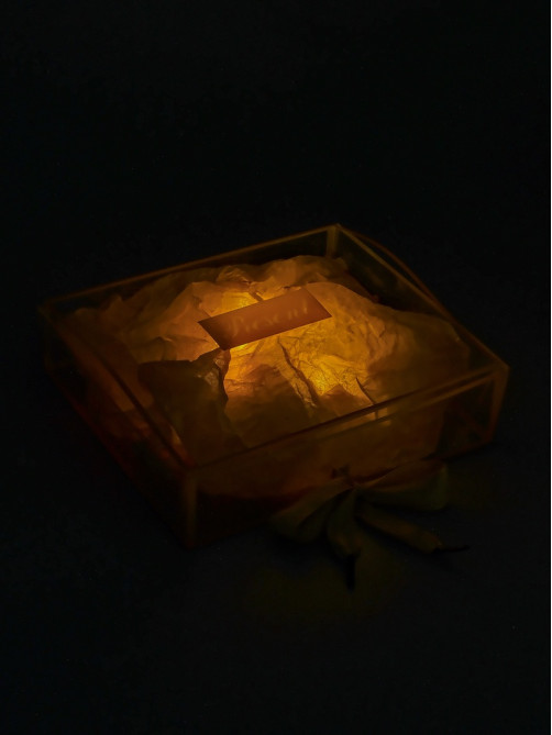 Коробка подарочная пластиковая с тишью и гирляндой Present, 20×18×5 см