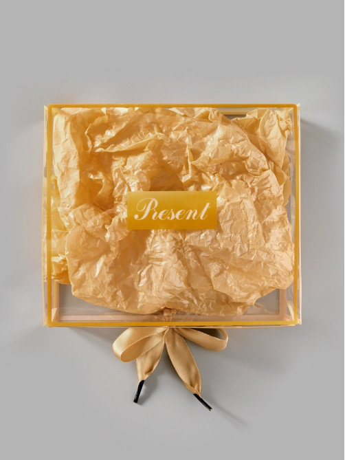 Коробка подарочная пластиковая с тишью и гирляндой Present, 20×18×5 см