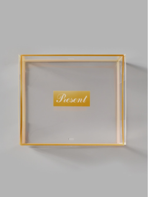Коробка подарочная пластиковая с тишью и гирляндой Present, 20×18×5 см