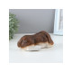 Фигурка полистоун TAKE IT EASY «Пёсик спит», 18×9×8 см