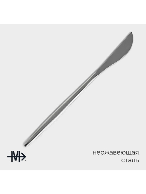 Набор ножей столовых Magistro «Блинк», длина 22.4 см, набор 6 шт., нержавеющая сталь, серебристый