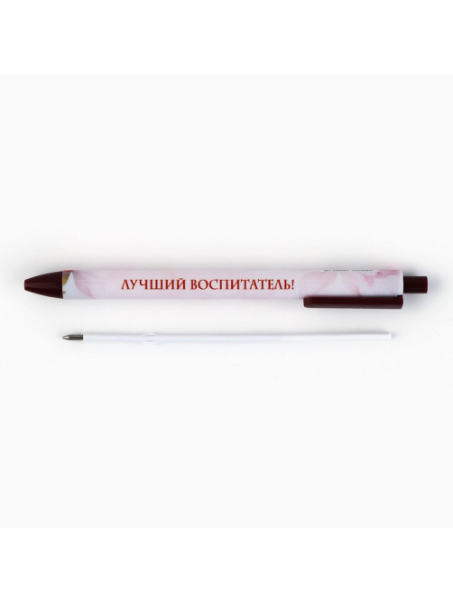 Ручка шариковая, синяя паста, 0.7 мм, пластик, автоматическая «Лучший воспитатель!»