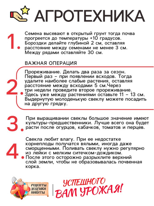 Семена Свекла столовая 