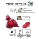 Семена Свёкла «Цилиндра», 2 г, «Рецепты дедушки Никиты»