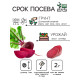 Семена Свекла «Египетская плоская», 2 г