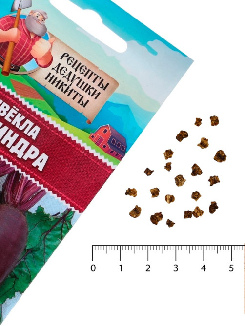 Семена Свёкла «Цилиндра», 2 г, «Рецепты дедушки Никиты»