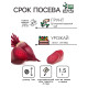 Семена Свекла столовая 