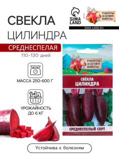 Семена Свёкла «Цилиндра», 2 г, «Рецепты дедушки Никиты»