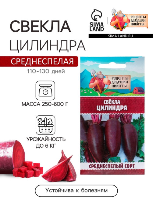 Семена Свёкла «Цилиндра», 2 г, «Рецепты дедушки Никиты»
