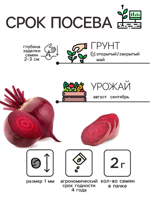 Семена Свекла столовая 