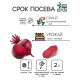 Семена Свёкла 
