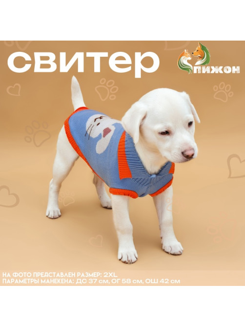 Свитер для животных «Зайка», размер 2XL, ДС 34, ОШ 34, ОГ 32-51 см, голубой