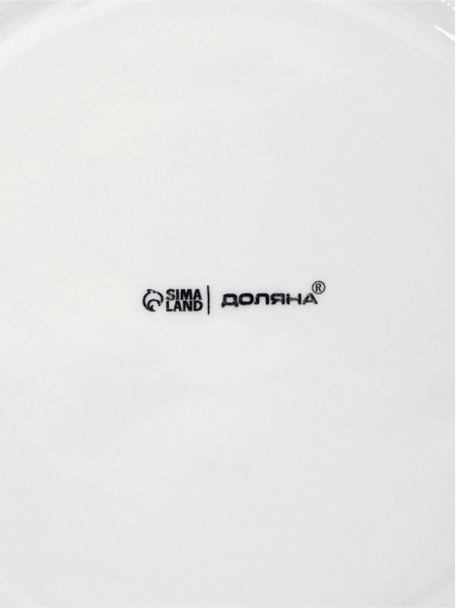 Тарелки обеденные Доляна White Label, набор 4 шт., d=25 см, утолщенный край, фарфор, белые