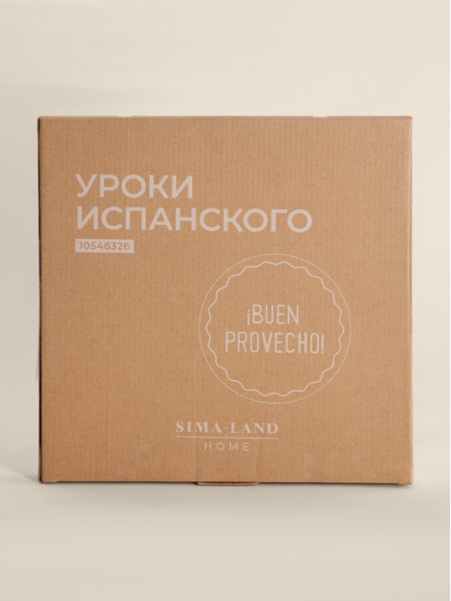 Тарелка для пиццы SL Home «Уроки испанского: Buen provecho», d=30 см, фарфор, розовая