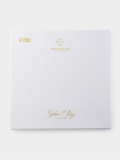 Тарелка глубокая WY Golden rays, 290 мл, d=22 см, фарфор, белая