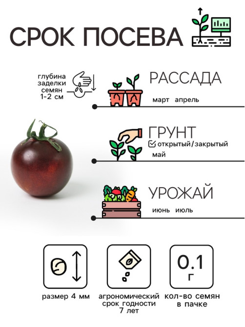 Семена Томат 