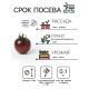 Семена Томат 