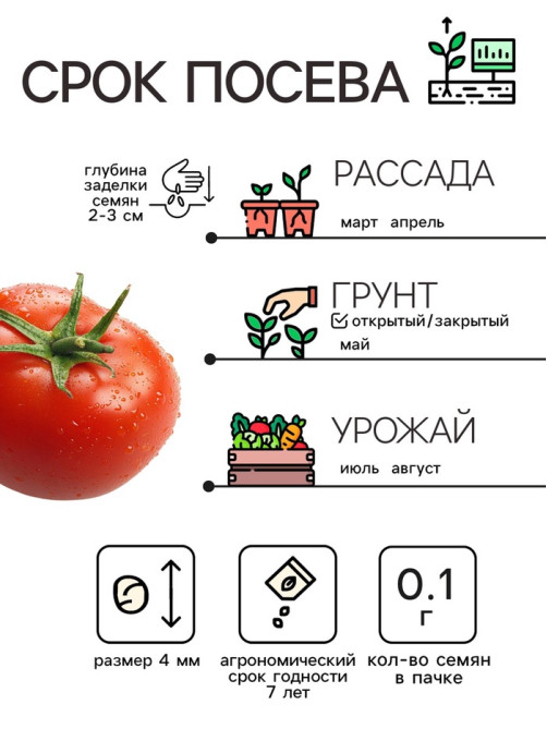Семена Томат 